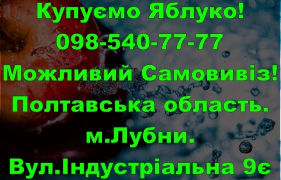 На постійній основі закуповуємо яблуко 2024року збору!Договірна Ціна- фото № 1