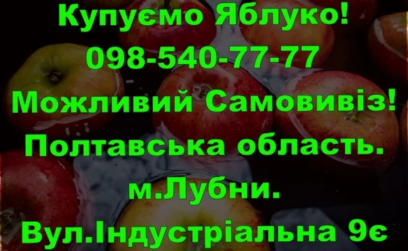 На постійній основі закуповуємо яблуко врожаю 2024року- фото № 1