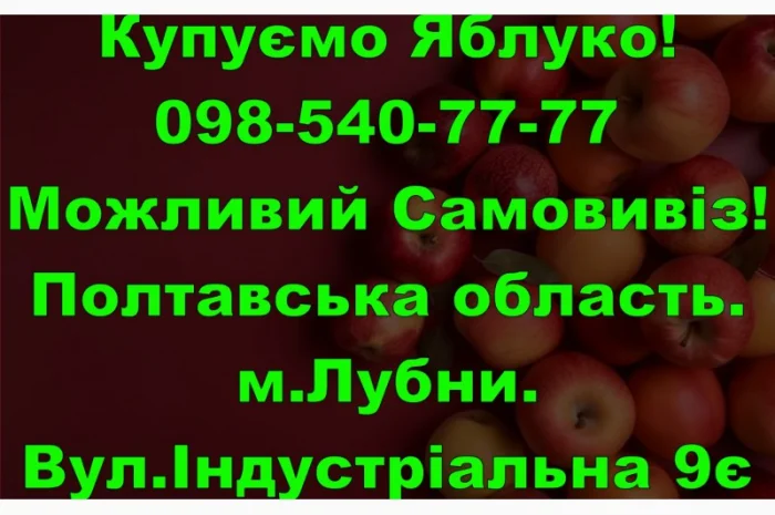 На постійній основі закуповуємо яблуко врожаю 2024року!Дорого- фото № 1