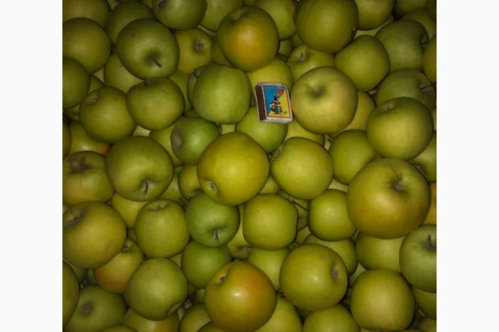 Продам яблука- фото № 4