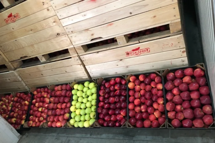 Яблука продажа. Опт. Холодильник смарт фреш Голден, черний принц, ред чіф- фото № 3