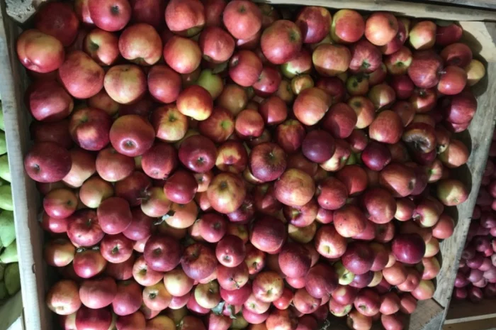 Продам яблуко різних сортів, гарної якості- фото № 2