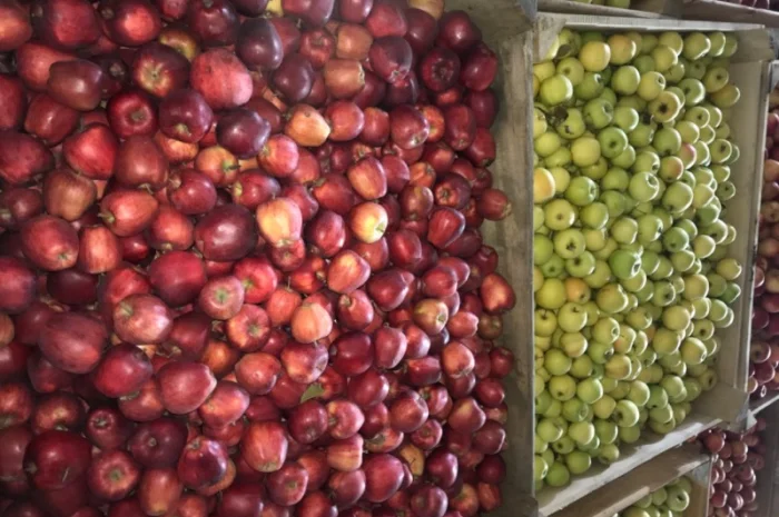 Продам яблуко різних сортів, гарної якості- фото № 3