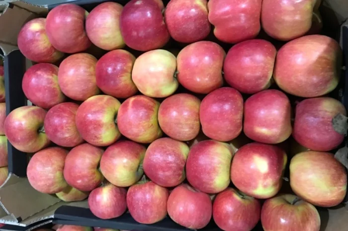 Продам якісне яблоко, з холодильника, оброблені смарт фрешом- фото № 2