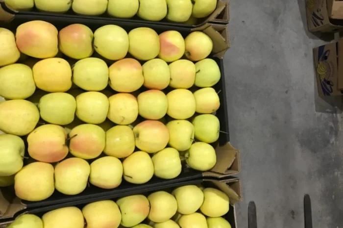 Продам якісне яблоко, з холодильника, оброблені смарт фрешом- фото № 4