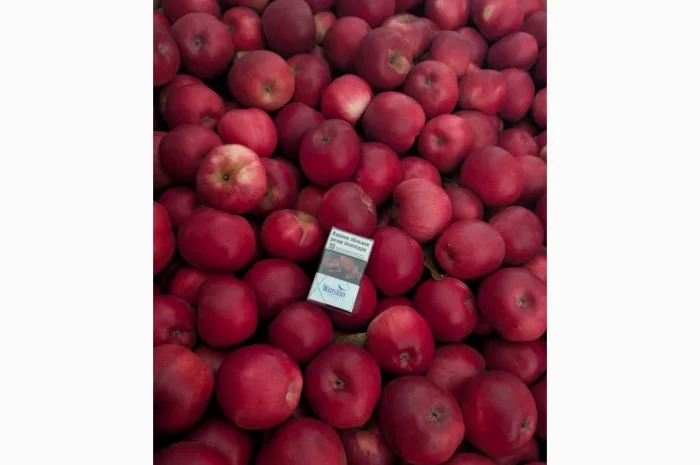 Продаються яблука різних сортів- фото № 5