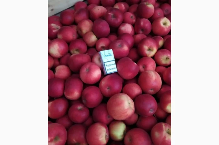 Продам яблука- фото № 3