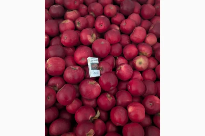 Продаються яблука різних сортів- фото № 2