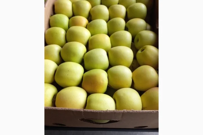 Продам чемпіон та голдан з холодильника- фото № 3