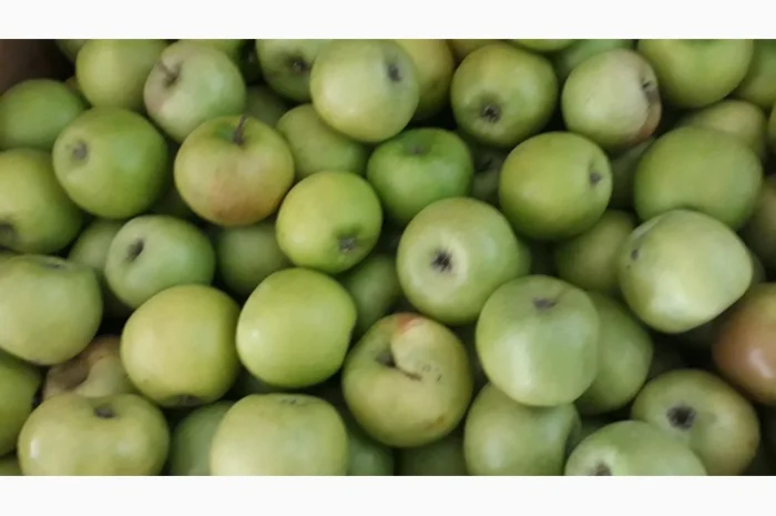 Продам симиренку- фото № 1