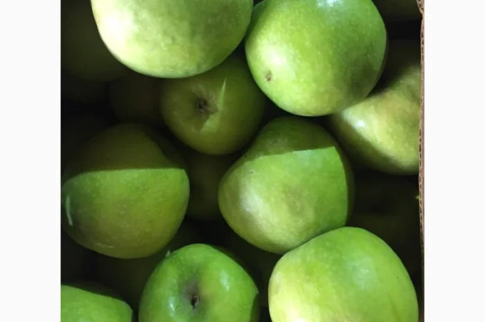 Продам яблоко разных сортов. Киев. Опт- фото № 1