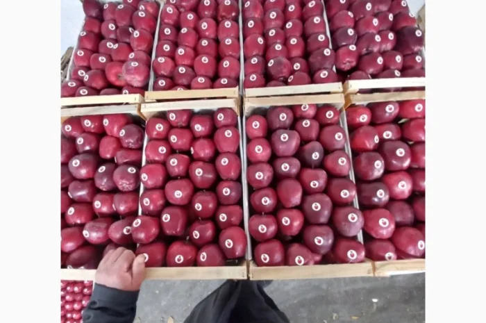 Продам яблука різних сортів- фото № 1