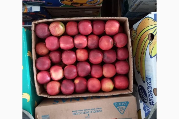 Продам яблука різних сортів- фото № 9