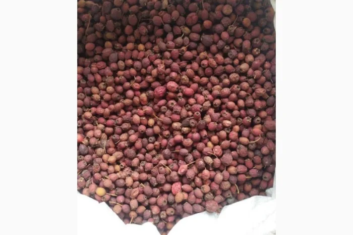 Куплю плоди глоду- фото № 1