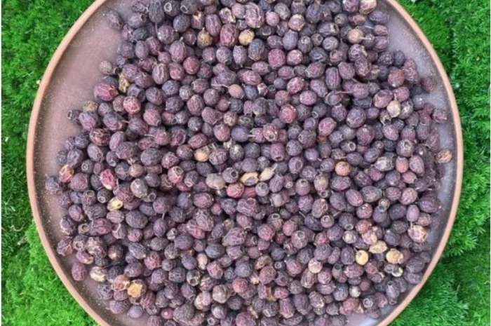 Глід, ягоды глоду, боярышник, ягода- фото № 2