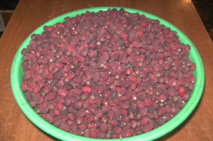 Ягоды боярышника (глоду), сушеные, недорого- фото № 1