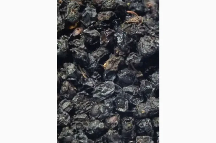 Купим Только сухую ягоду Закупаем.Бузина, рябина, шиповник, боярышник.терен.Самовывоз- фото № 1