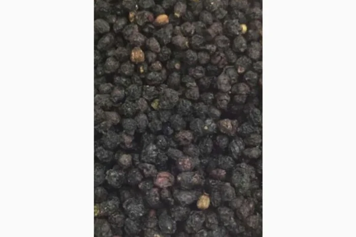 Купуємо суху ягоду бузини- фото № 1