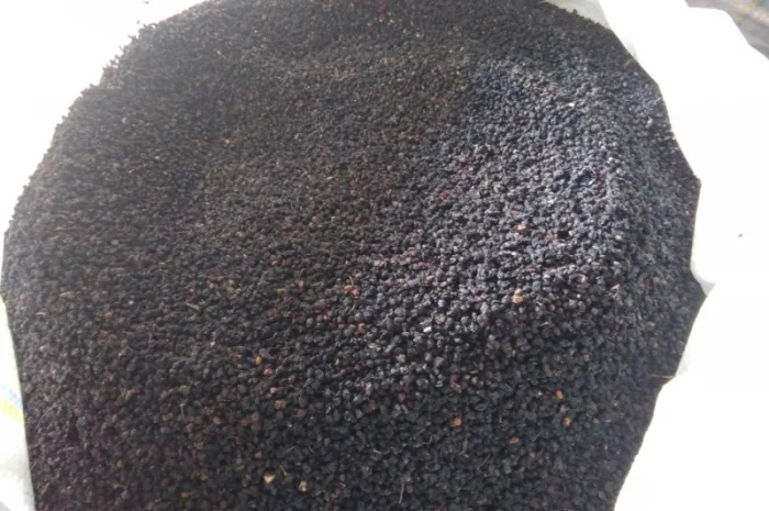 Суха ягода бузини- фото № 1