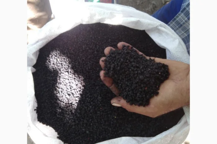 Купим цвет бузины, сухую ягоду бузины.Приедем сами.Оплата нал- фото № 1