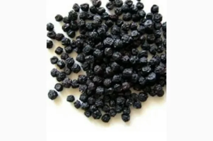 БУЗИНУ сухую ягоду, закупаем круглый год.Самовывоз- фото № 1