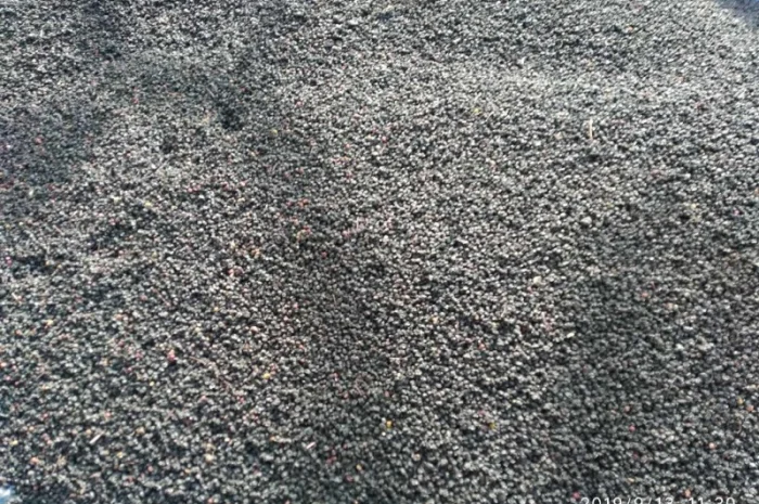 Купим цвет бузины, сухие плоды черной бузины.Самовывоз от 500кг- фото № 1