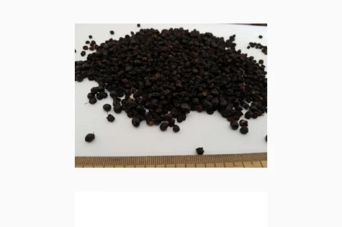 Бузина Сухая ягода.Закупаем.Заключаем договор на закупку- фото № 1