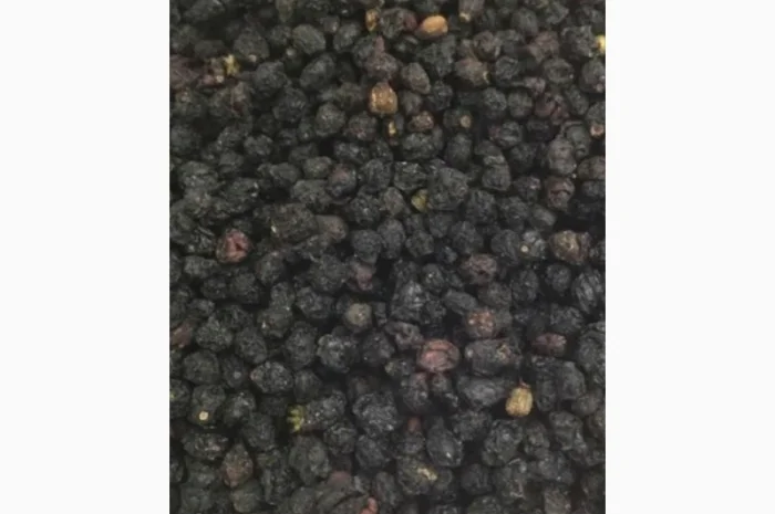 Закупаем Сухую ягоду Бузины.Оплата договорная.Самовывоз от 500кг- фото № 1