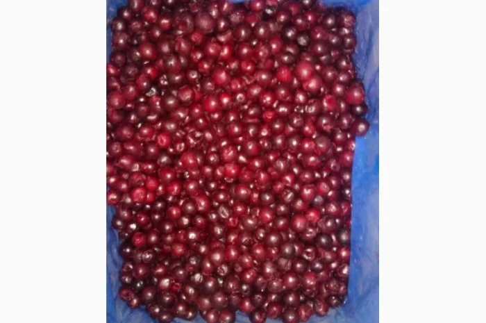 Вишня без кісточки 1 сорт, ш/з у продажу- фото № 2