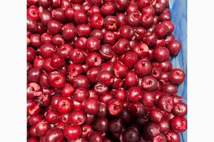 Пропонується вишня без кісточок, шокова заморозка- фото № 1