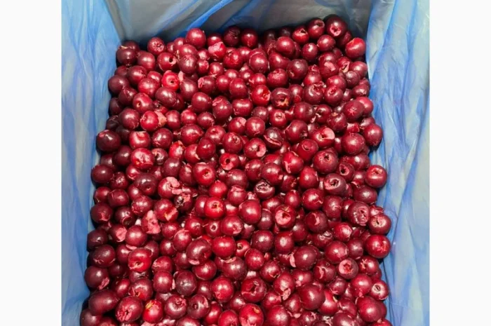 Пропонується вишня без кісточок, шокова заморозка- фото № 2