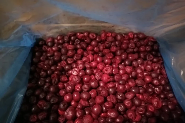 Продам вишня б/к шокова заморозка- фото № 2