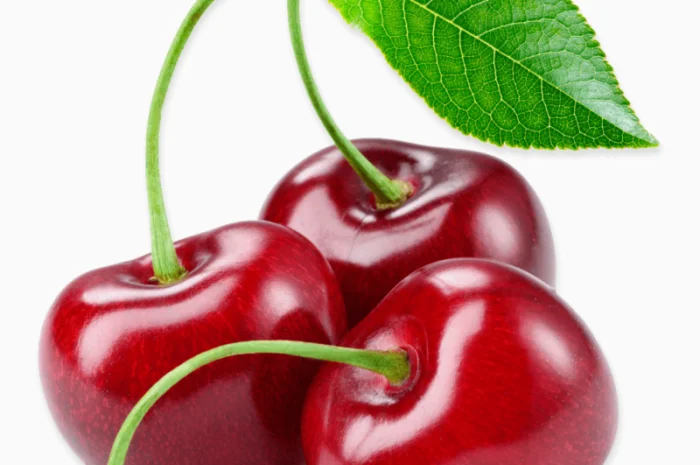 Куплю вишню 2025 года оптом- фото № 1