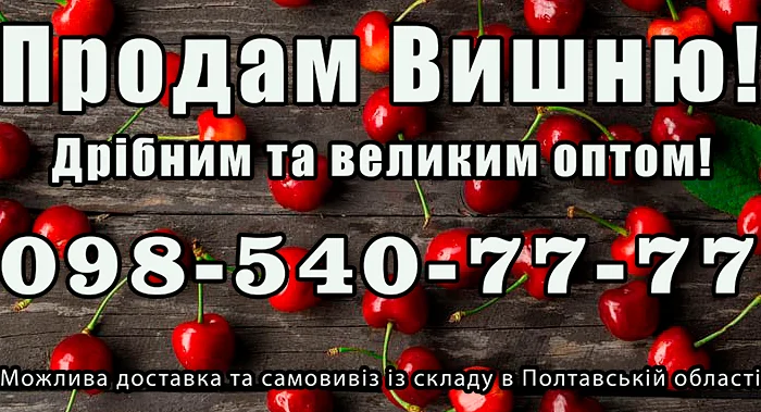 Продаю вишню, великим та малим оптом- фото № 1