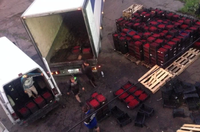 Куплю вишню- фото № 1