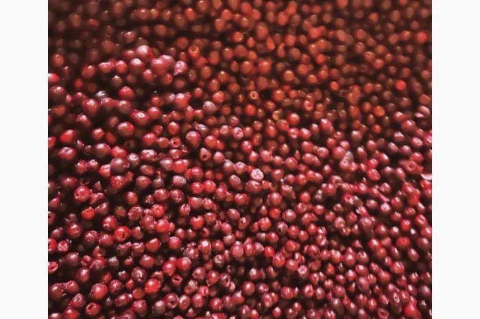 Куплю Вишню- фото № 1