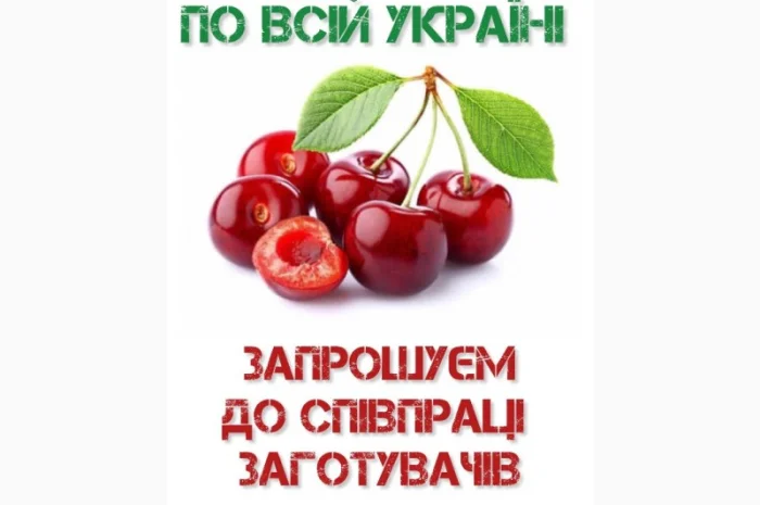 Купуємо вишню- фото № 1