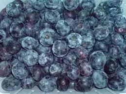 Голубика (Лохина) – замороженные ягоды- фото № 1