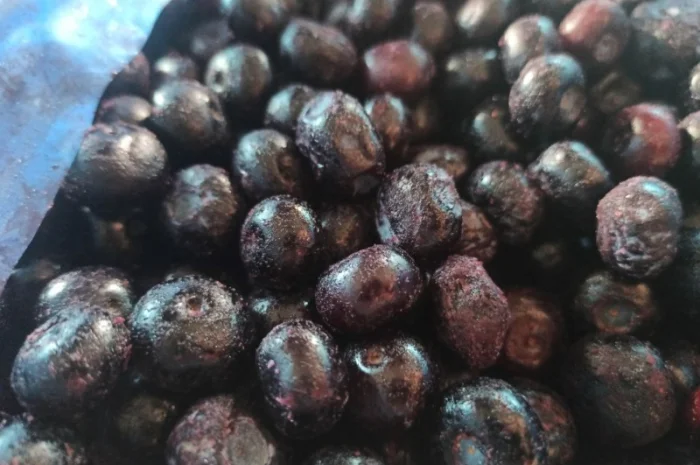 Куплю лохину заморожену- фото № 1