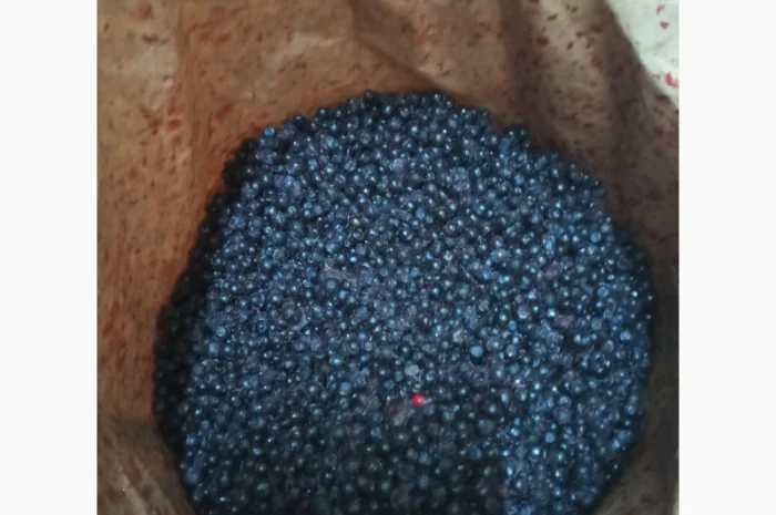 Лохина заморожена лісова Б-клас- фото № 1