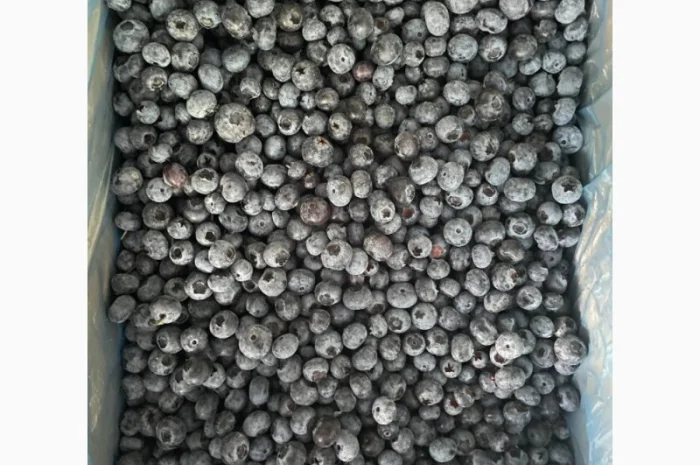 Продам ягоду голубику (свежемороженую)- фото № 1