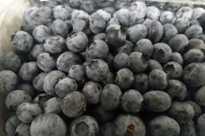 Продаємо ГОЛУБІКУ. (лохина)- фото № 3