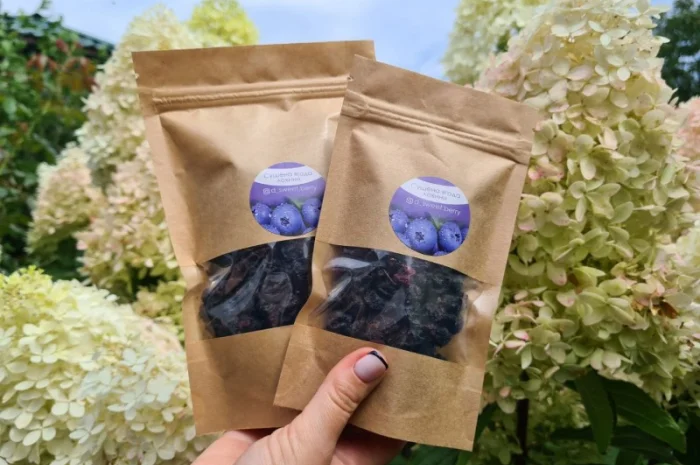 Сушена ягода лохини- фото № 1