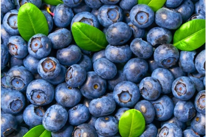 Куплю лохину- фото № 1