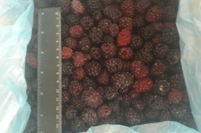 Замороженная очищенная ежевика Ожина- фото № 1