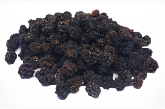 Продам ожину сушену- фото № 1