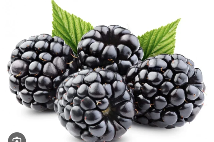 Куплю ожину- фото № 1