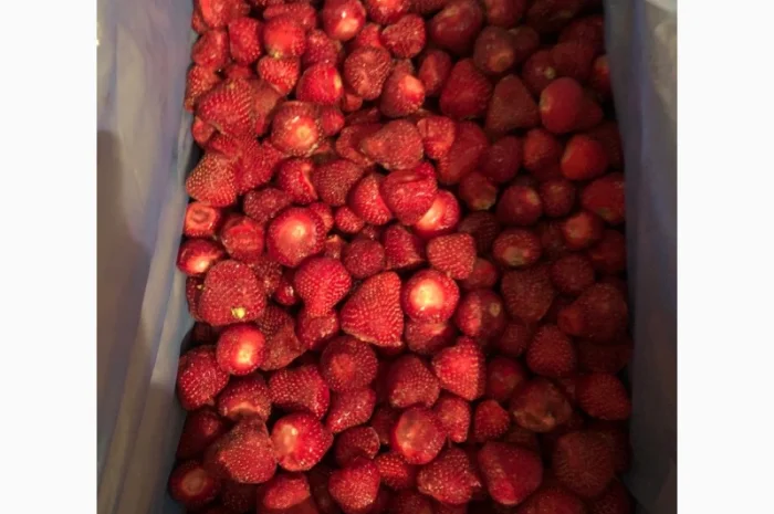 Куплю клубнику замороженную- фото № 1