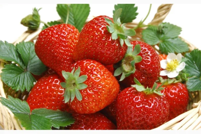 Куплю полуницю на заморозку врожай 2023 року- фото № 1