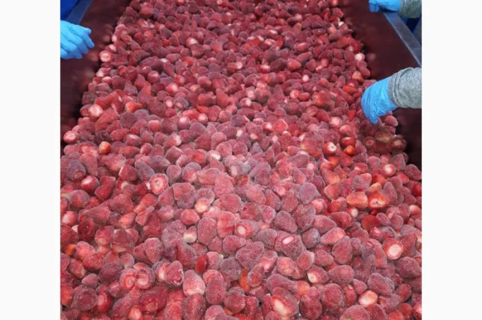 Полуниця Єгипет заморозка- фото № 1